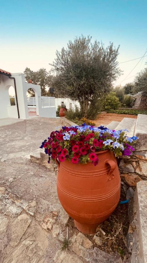 Havania Studio Agios Nikolaos Exteriör bild